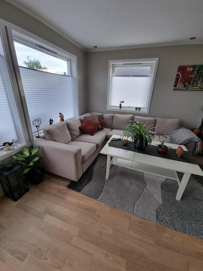 Private Guest Room In Cozy Apartment Trondheim Exteriör bild